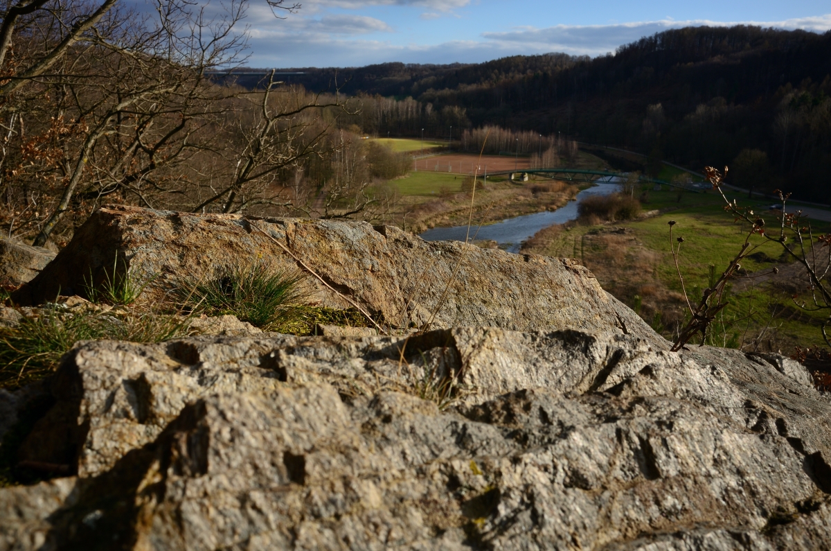 DSC_2310_00001n.jpg