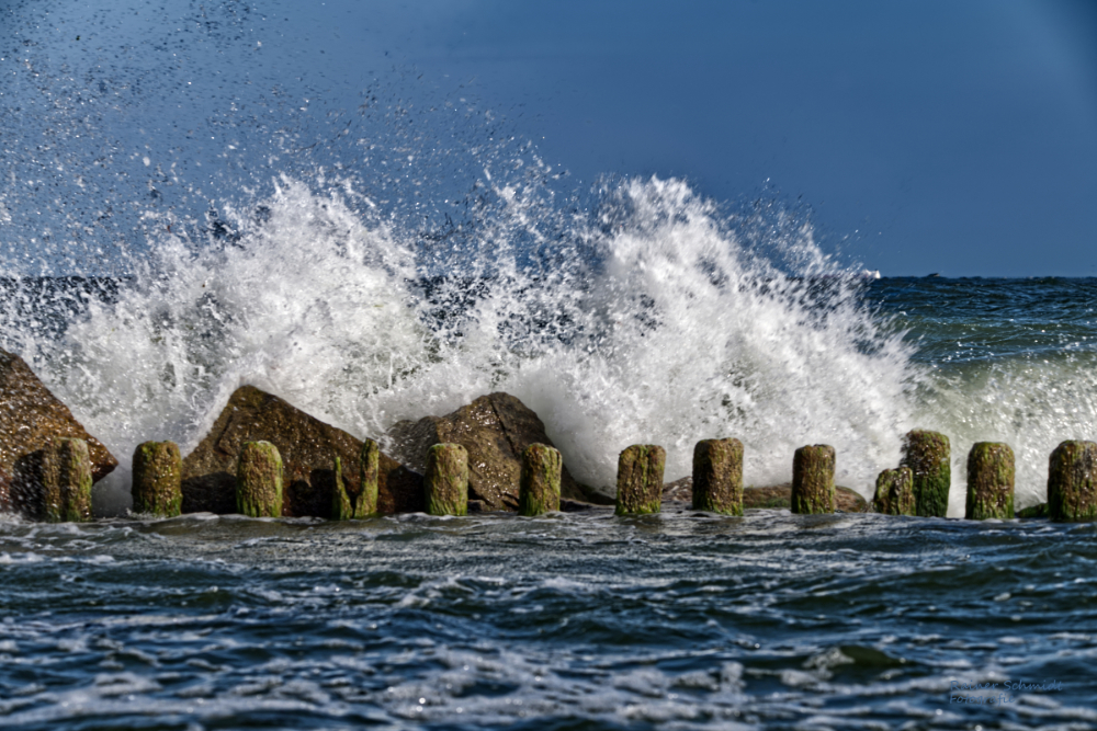 DSC_2315.jpg