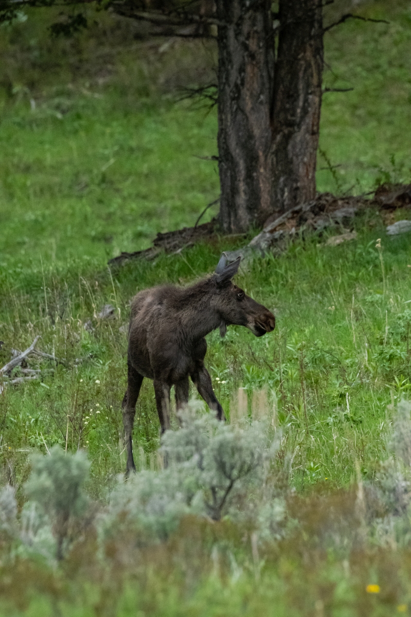 DSC_2324.jpg