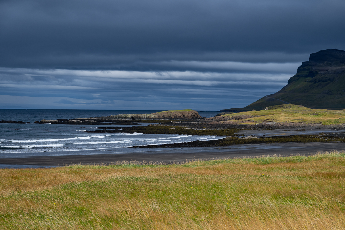 DSC_2328.jpg