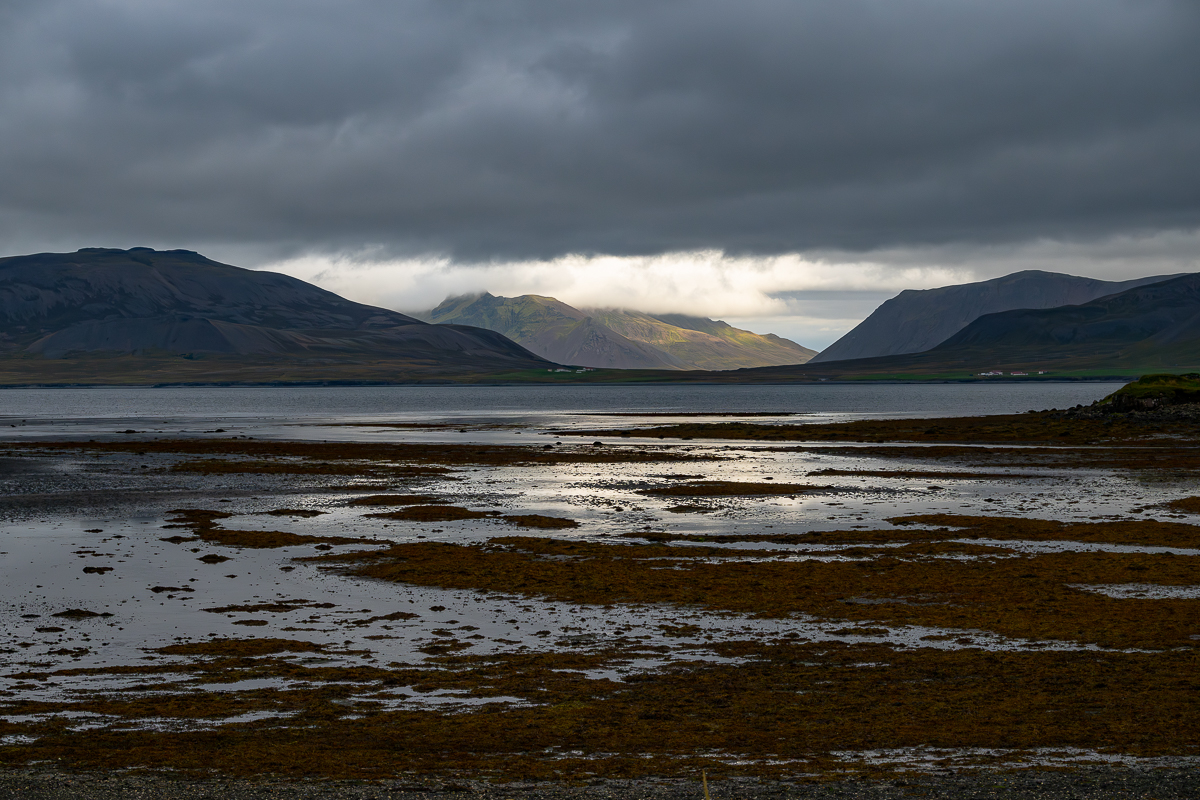 DSC_2334.jpg