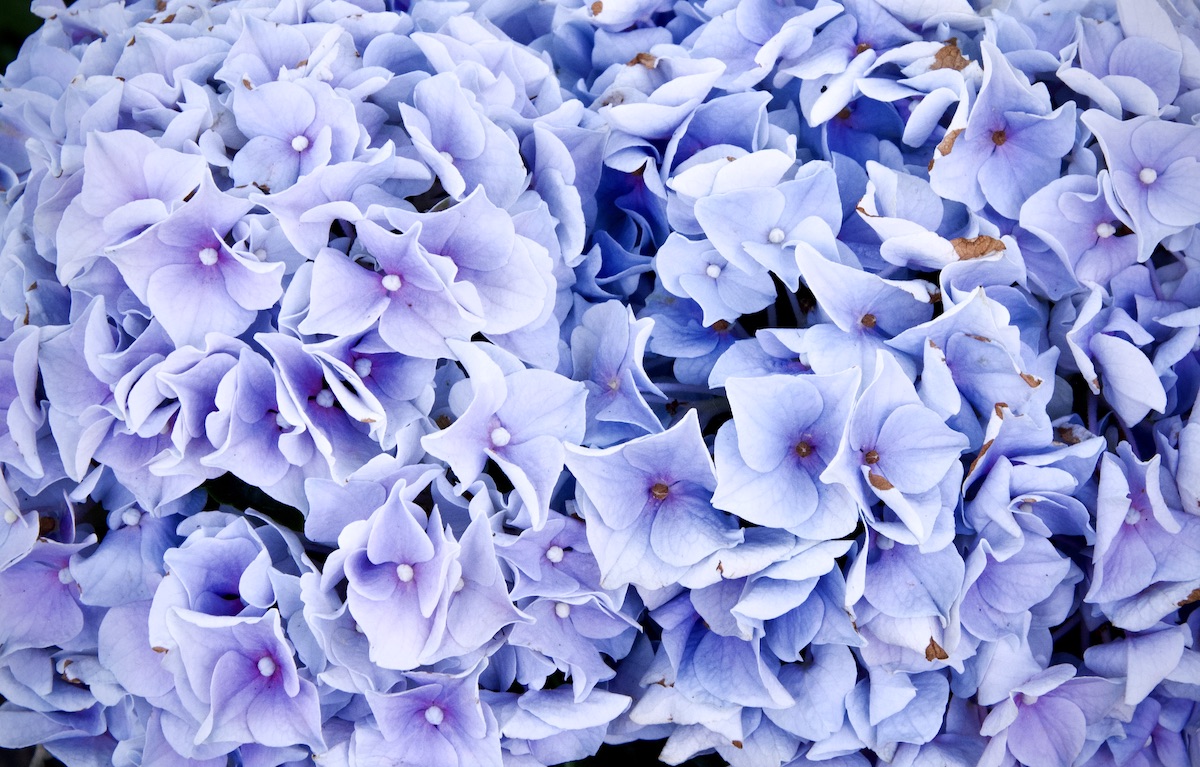 DSC_2349.jpeg