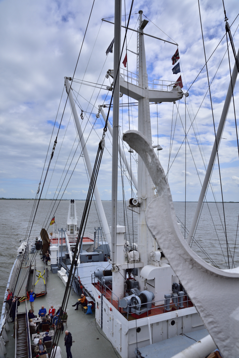 DSC_2355_00001.jpg