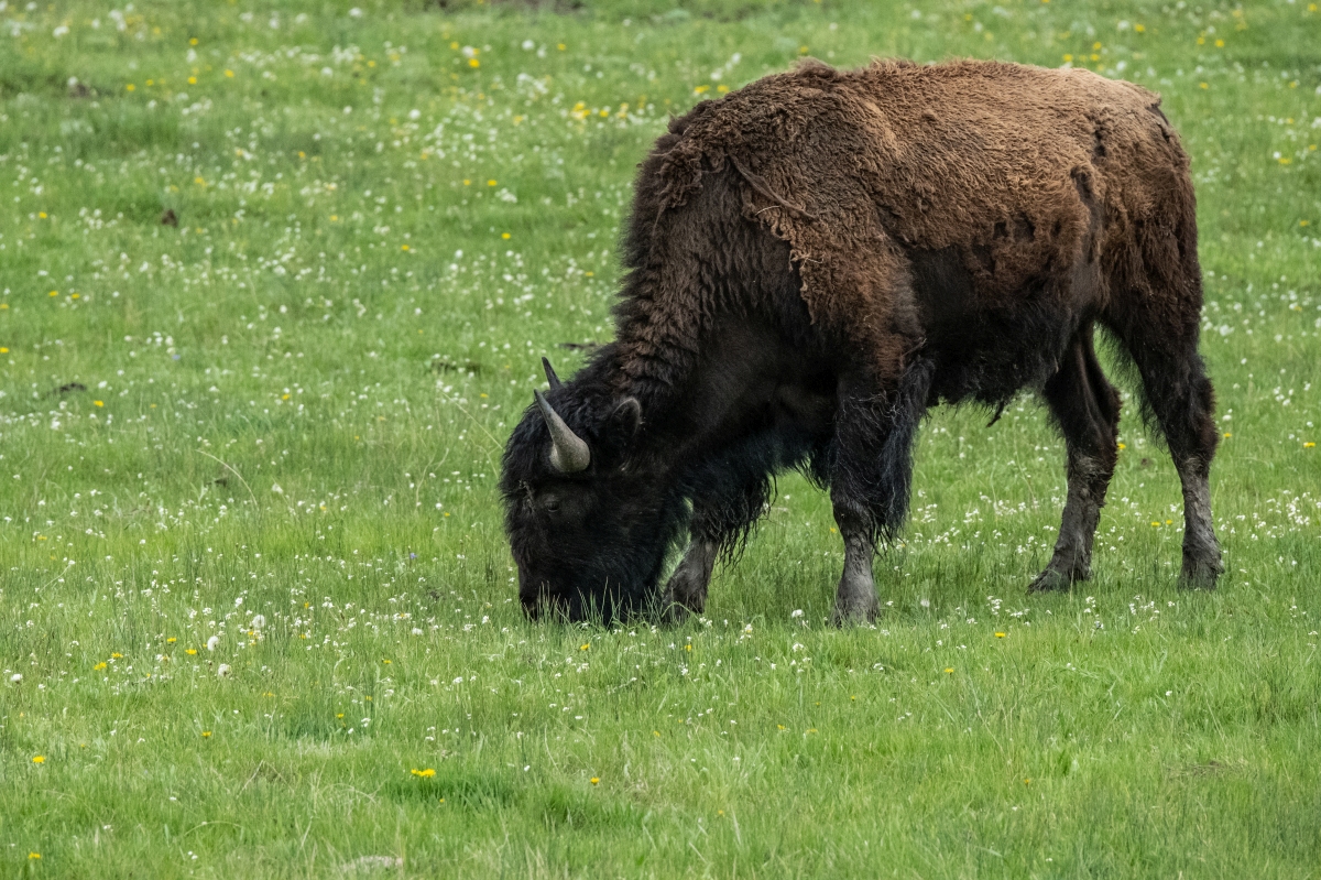 DSC_2398.jpg