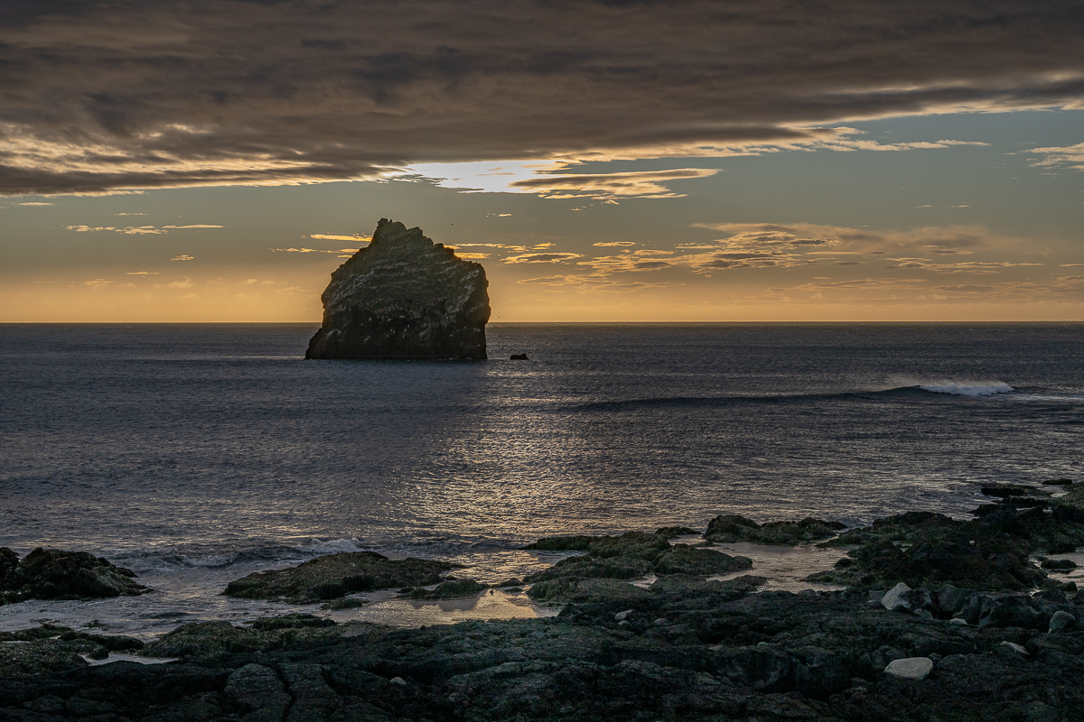 DSC_2405.jpg