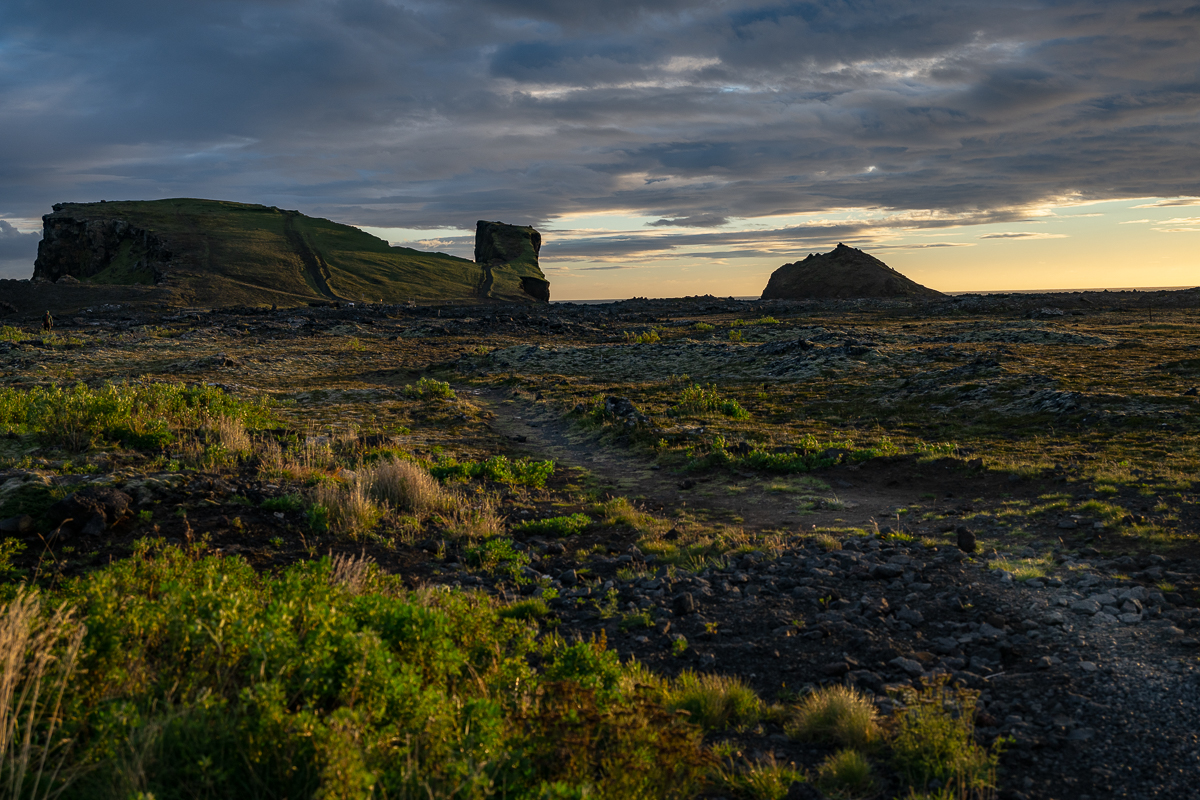DSC_2416.jpg