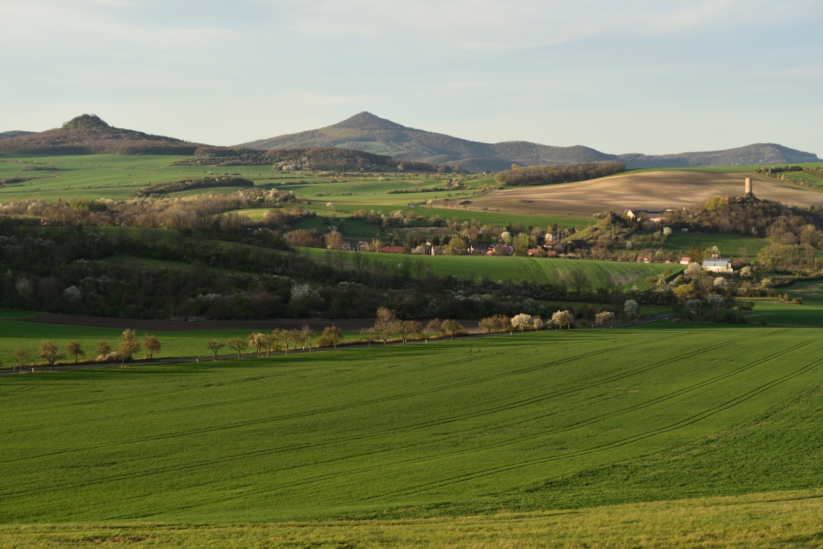 DSC_2416_00001n.jpg