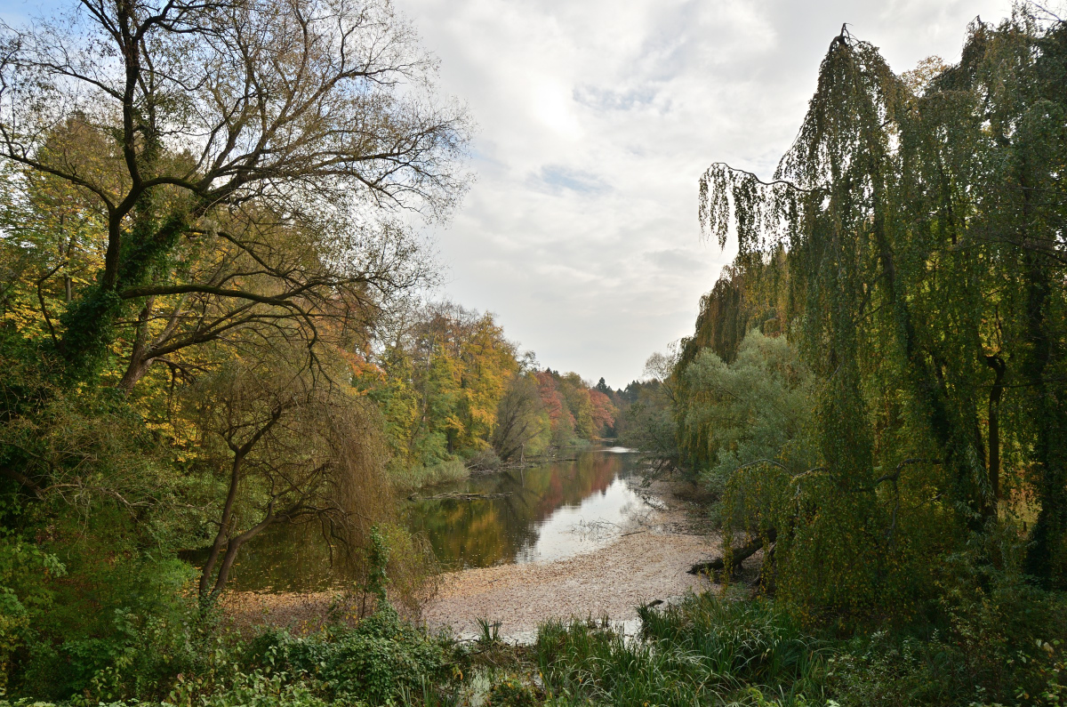 DSC_2436.JPG