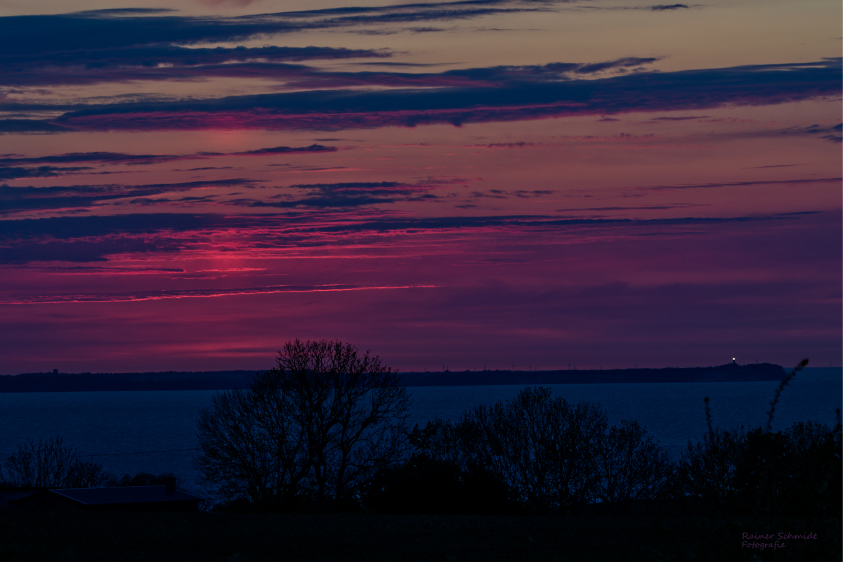 DSC_2445.jpg