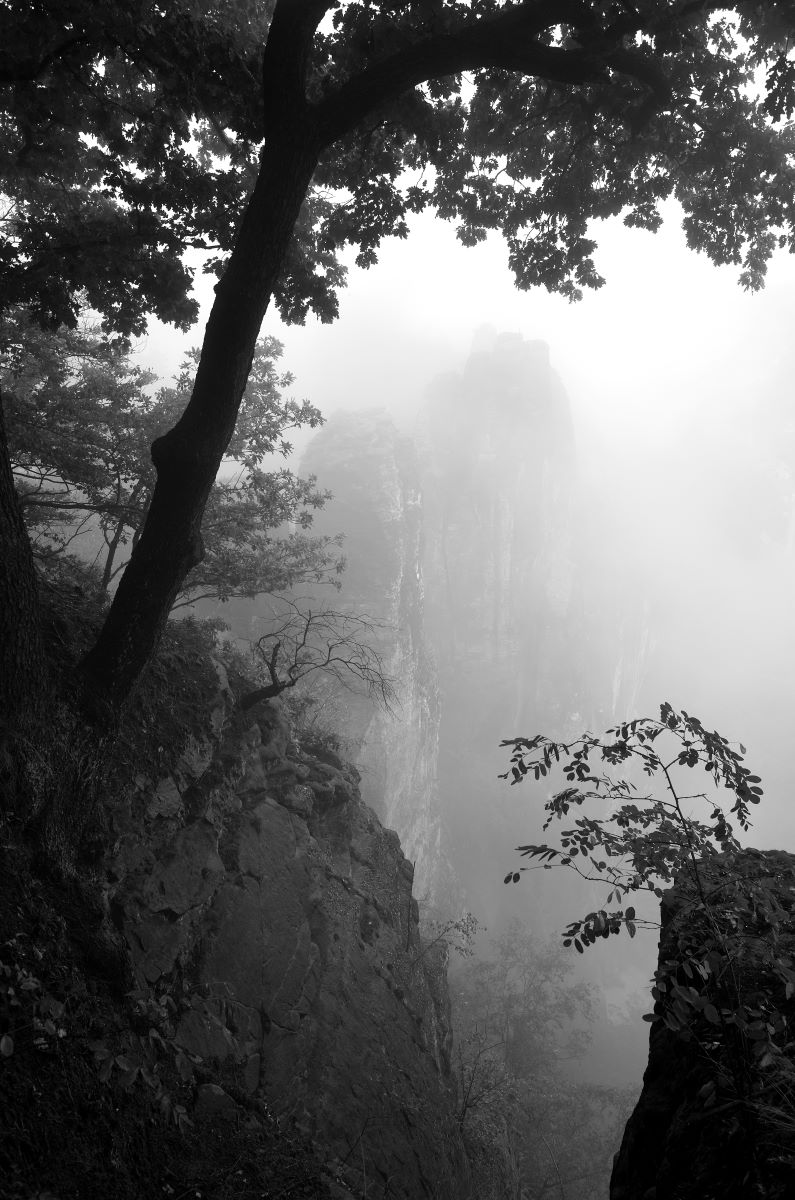 DSC_2453_00001_02n.jpg