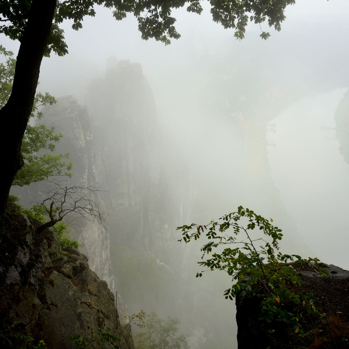 DSC_2454_00001n.jpg