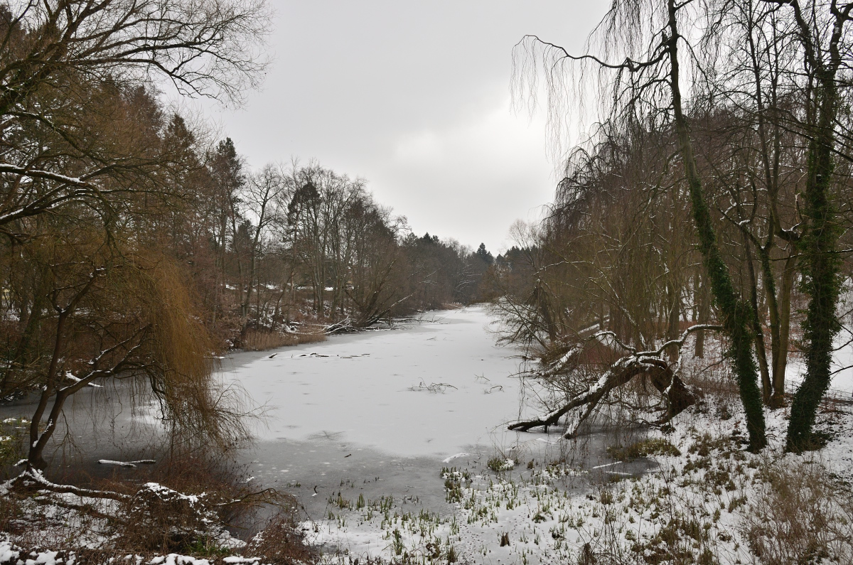 DSC_2459.JPG