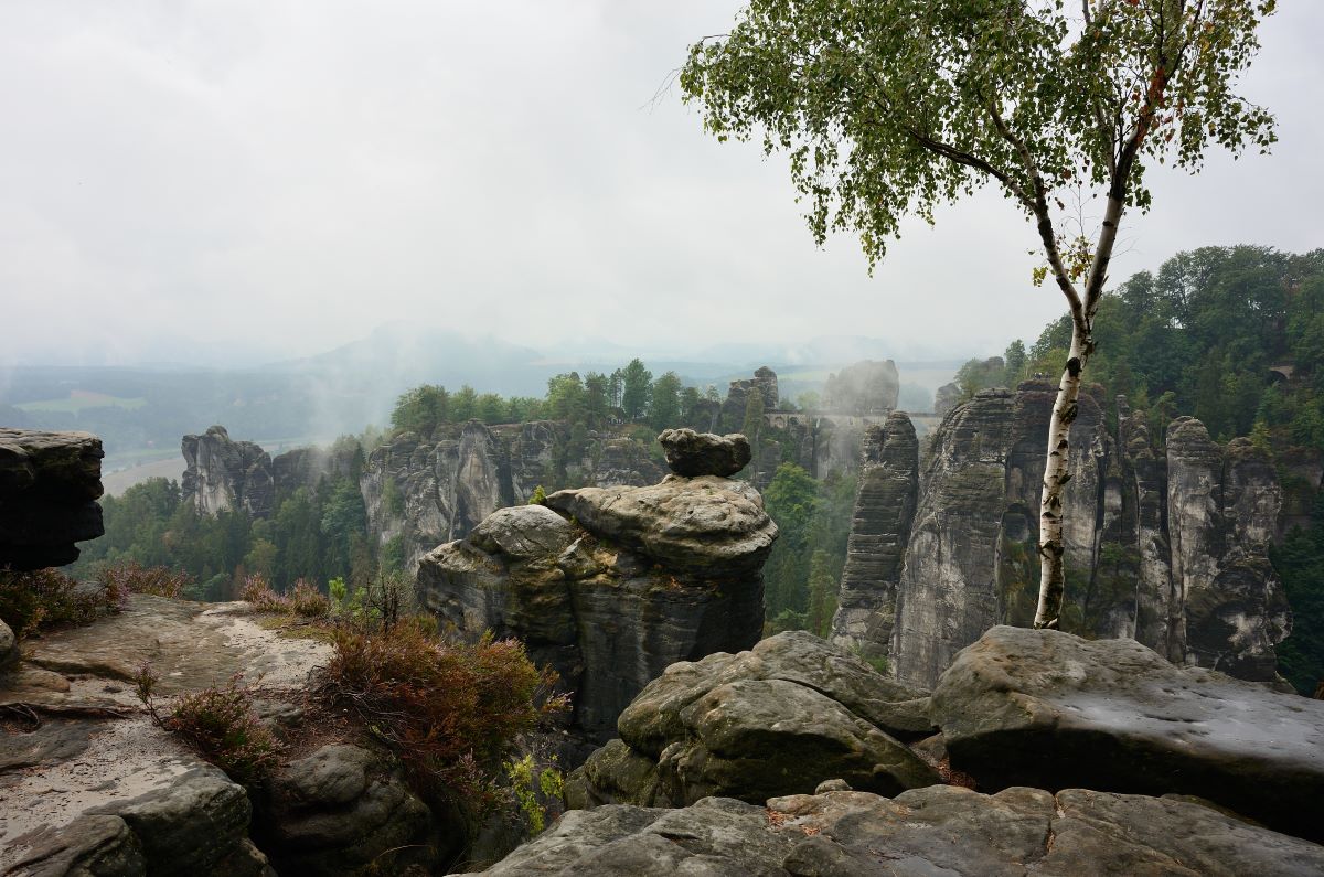 DSC_2460_00001n.jpg