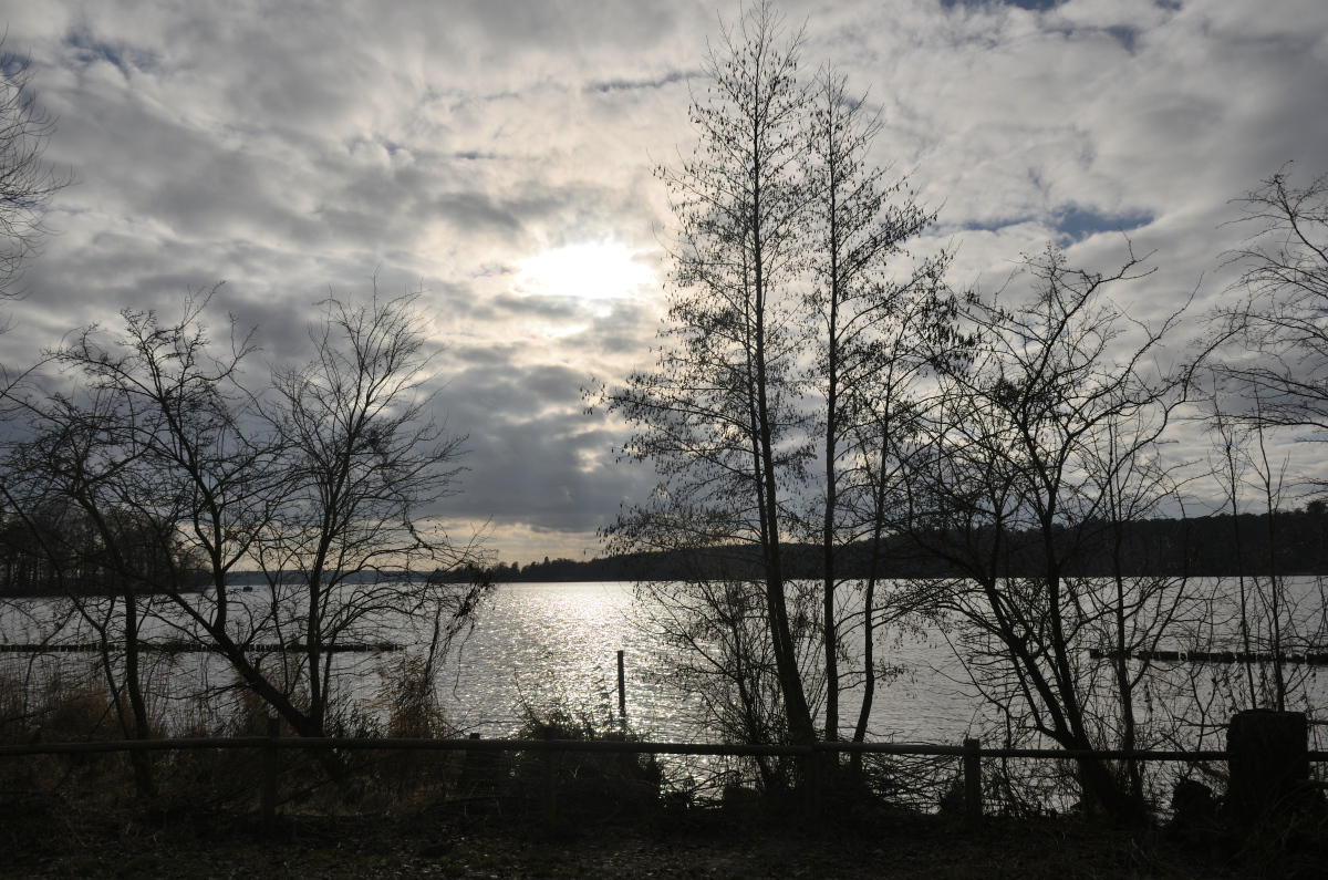 DSC_2464.JPG