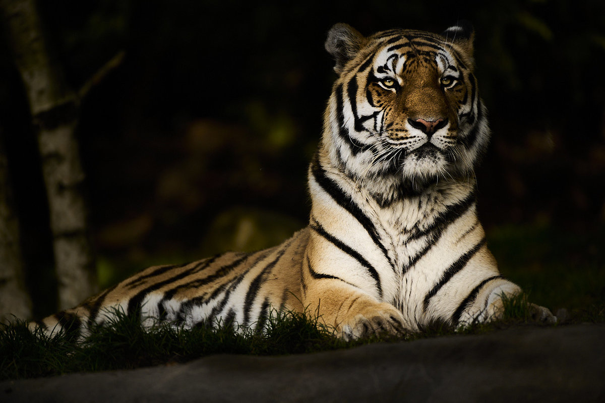DSC_2465.jpg