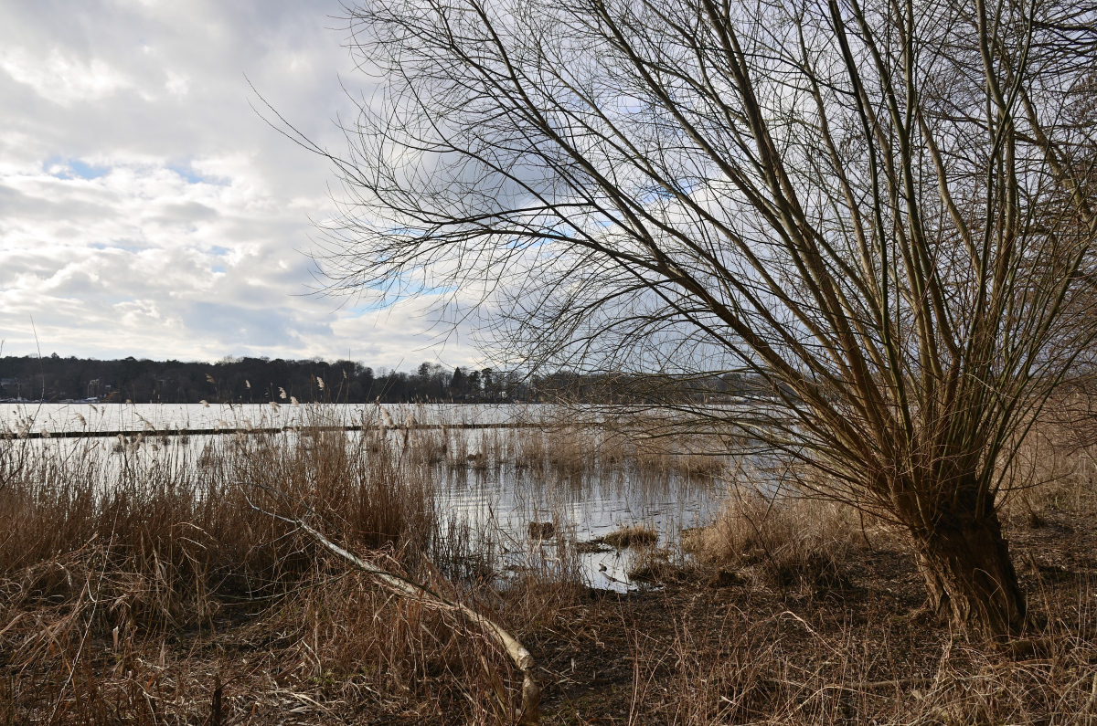 DSC_2466.JPG