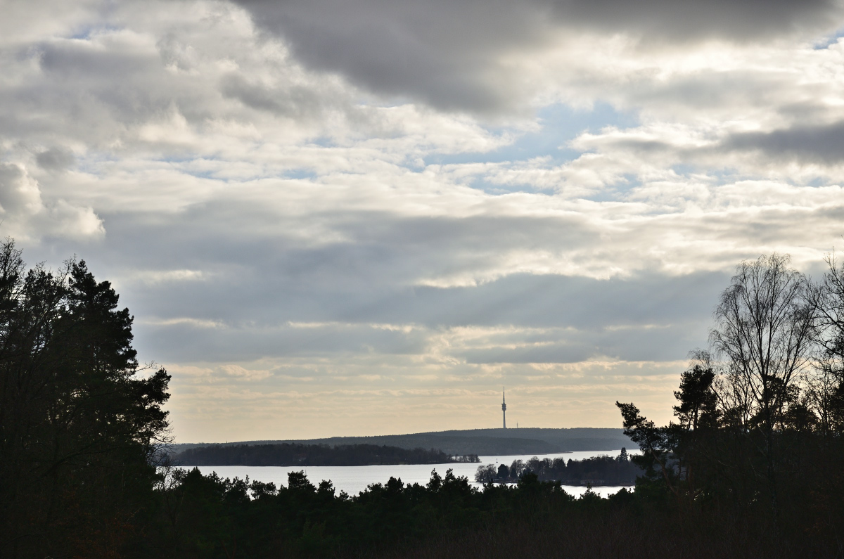 DSC_2468.JPG