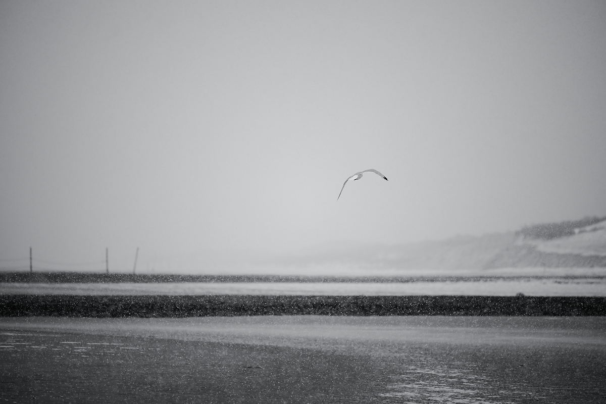 DSC_2508.jpg