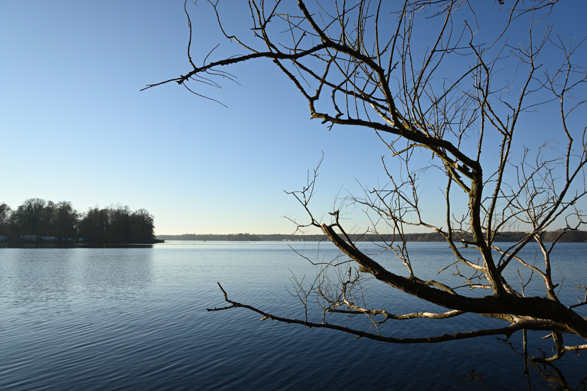 DSC_2513.JPG