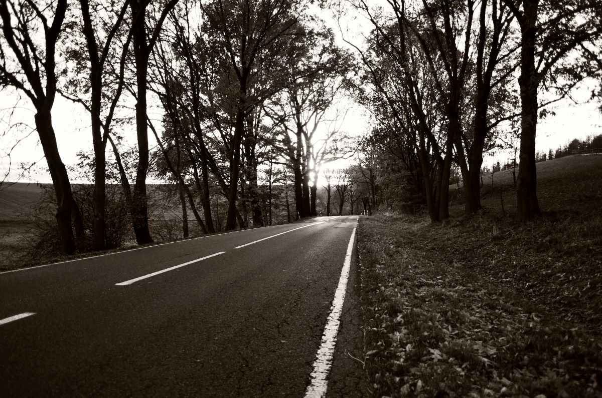 DSC_2524_00001_02n.jpg
