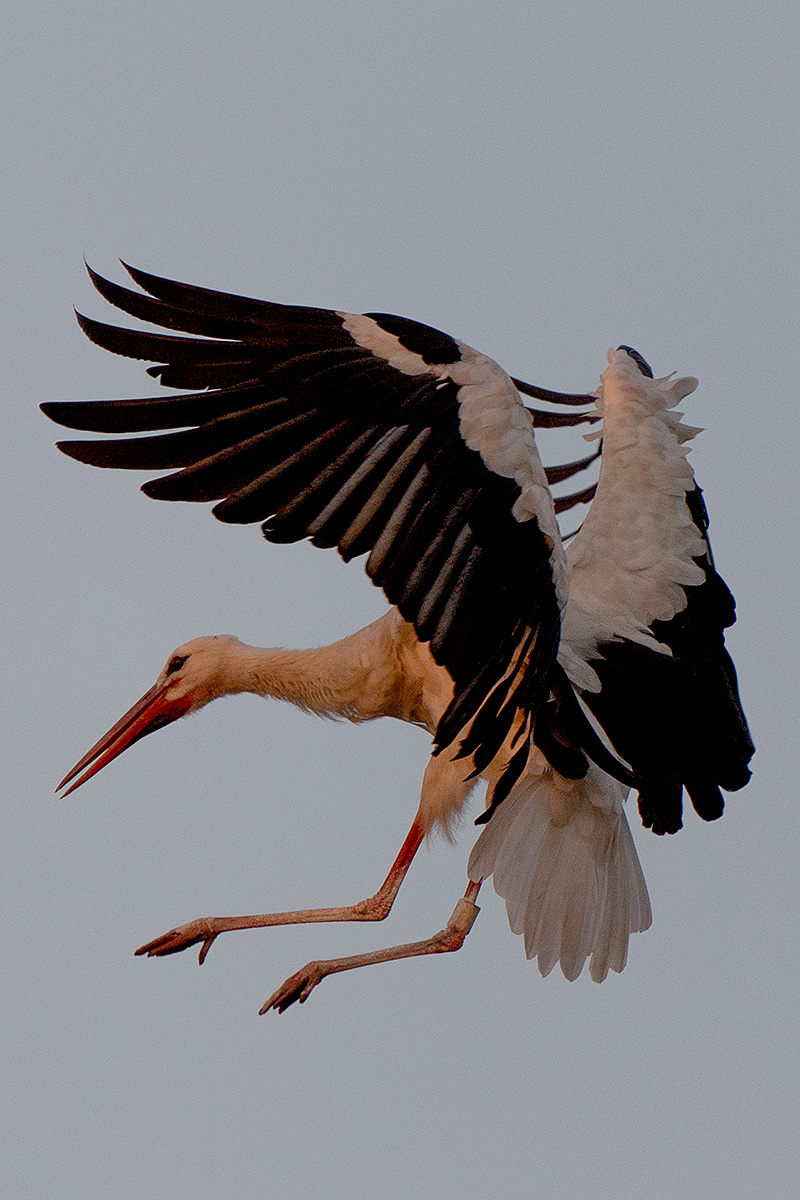 DSC_2534k.jpg