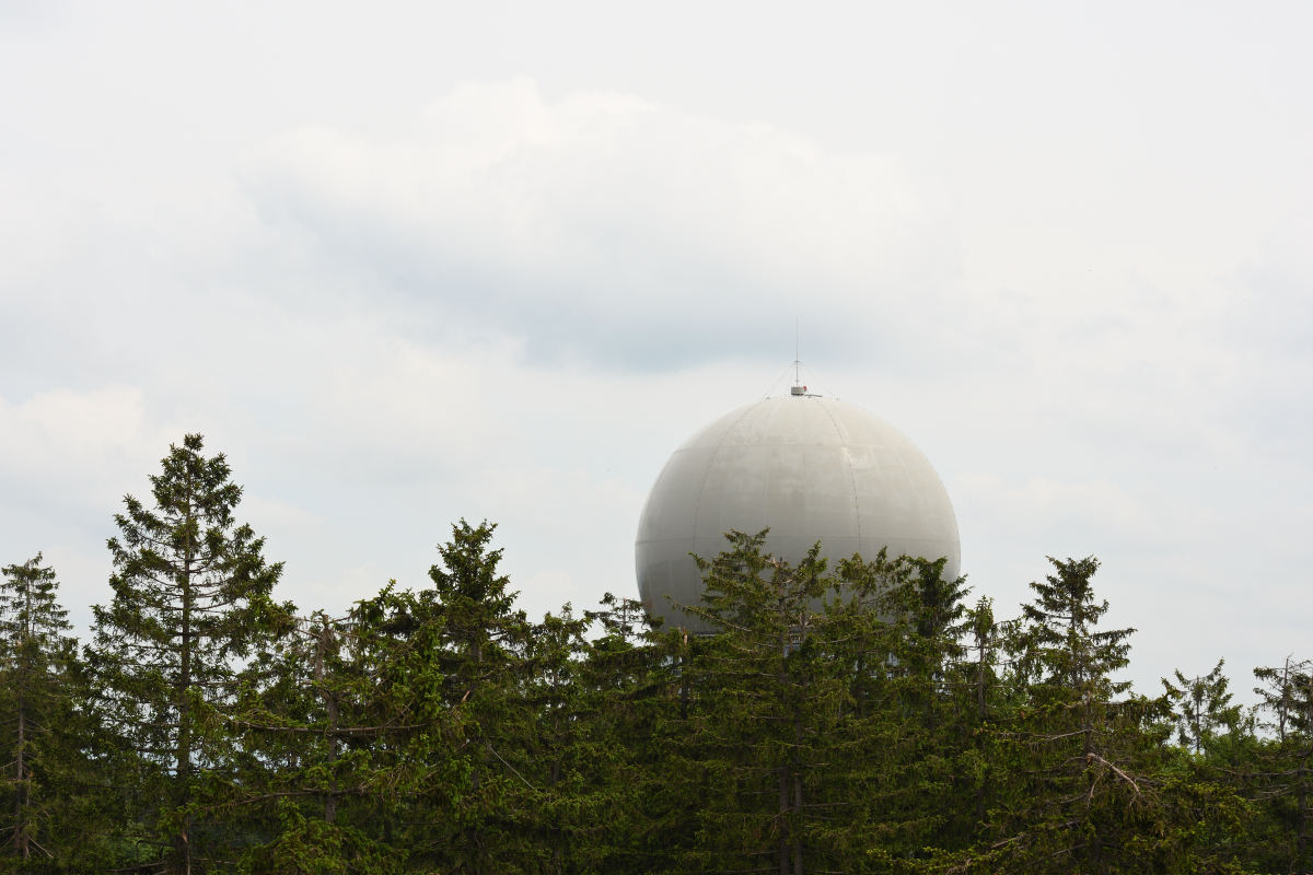 DSC_2537.JPG