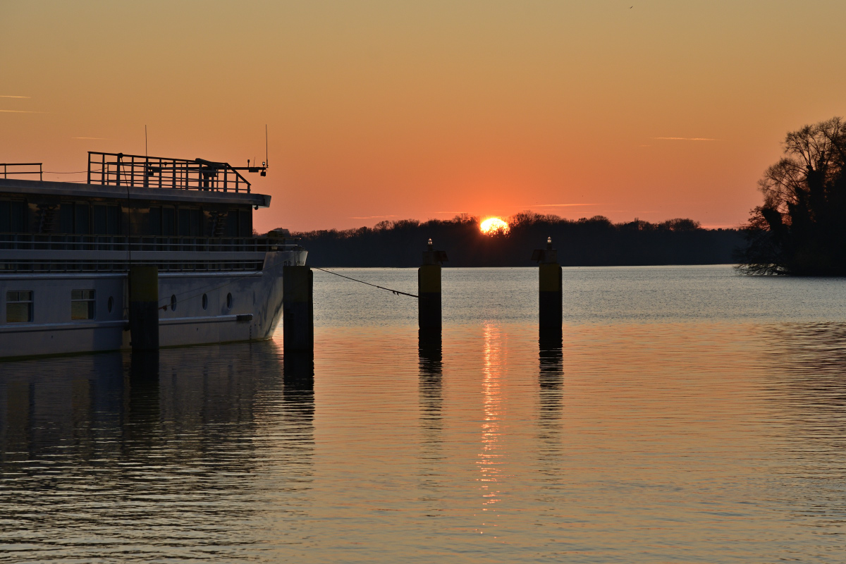 DSC_2537.JPG
