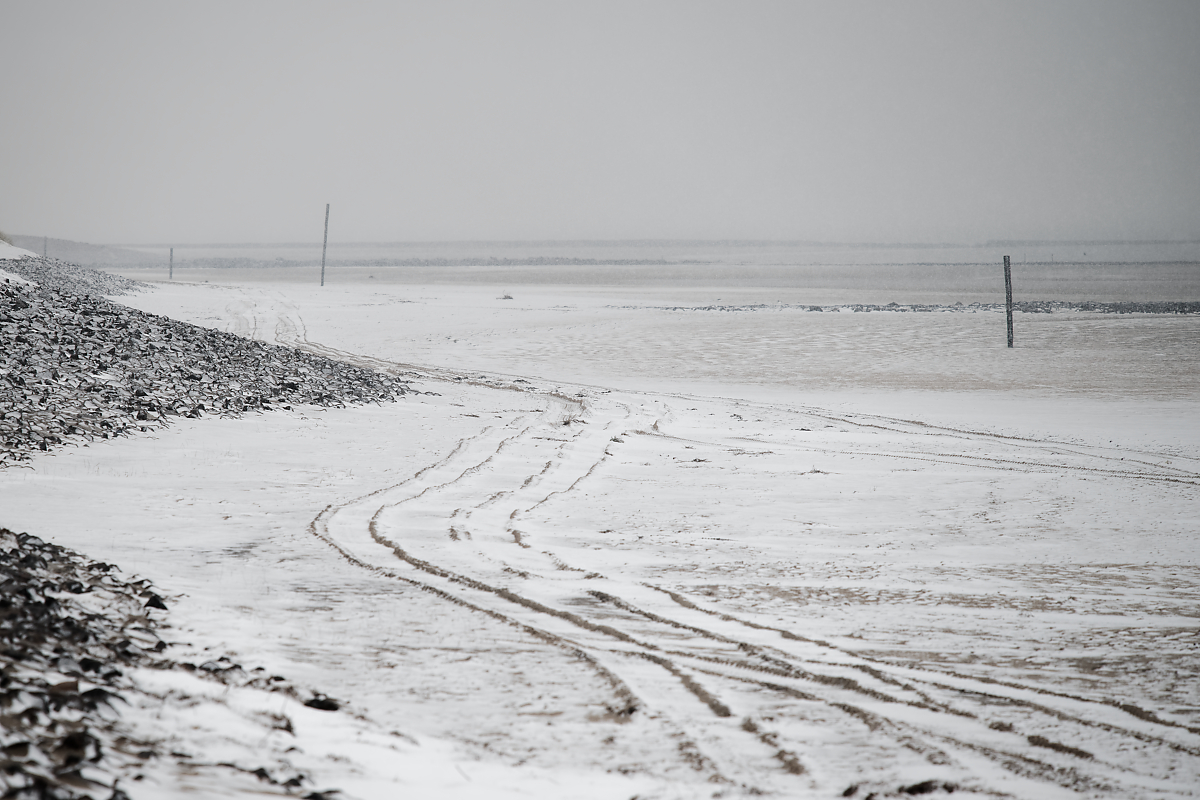 DSC_2548.jpg