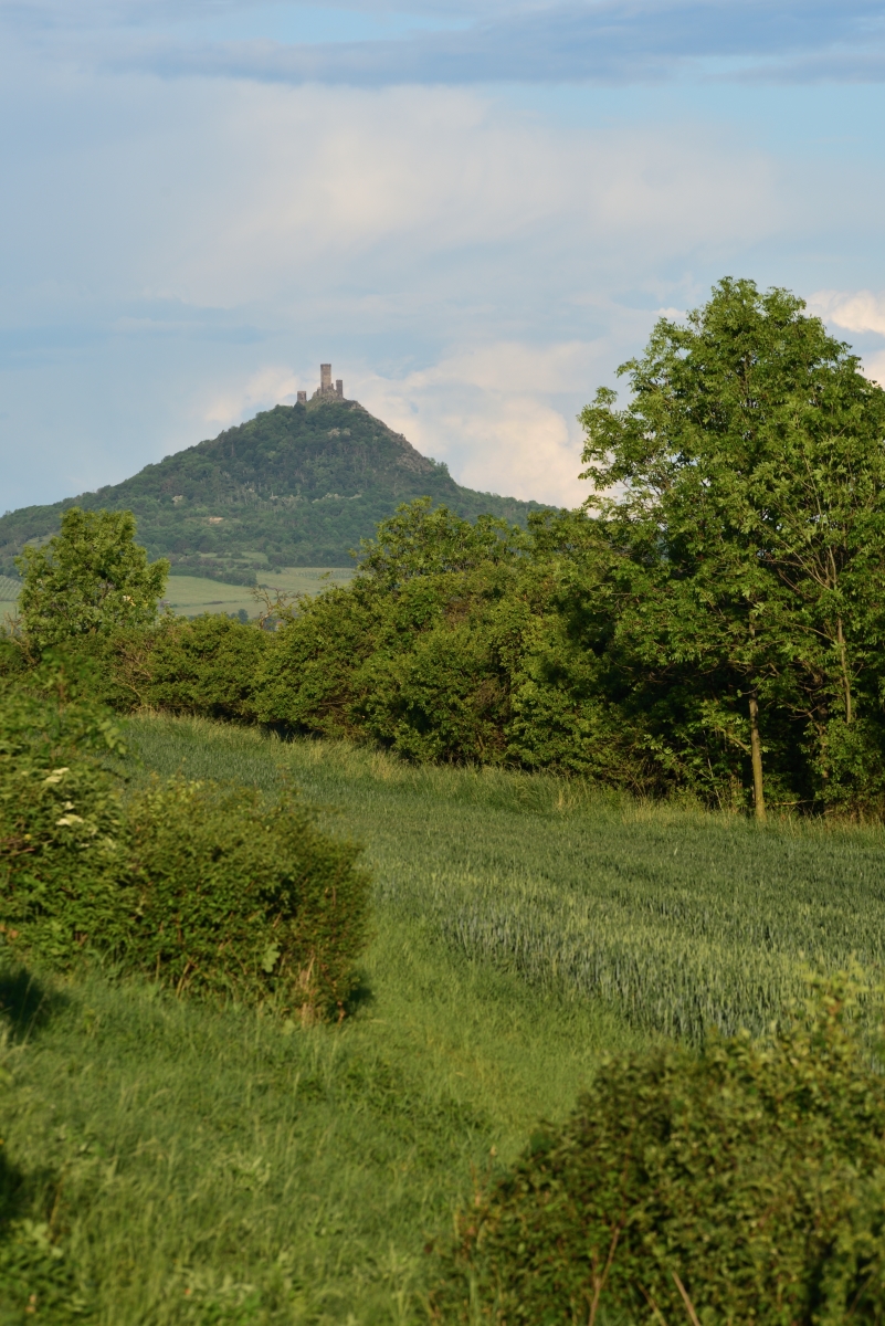 DSC_2548_00001_01n.jpg