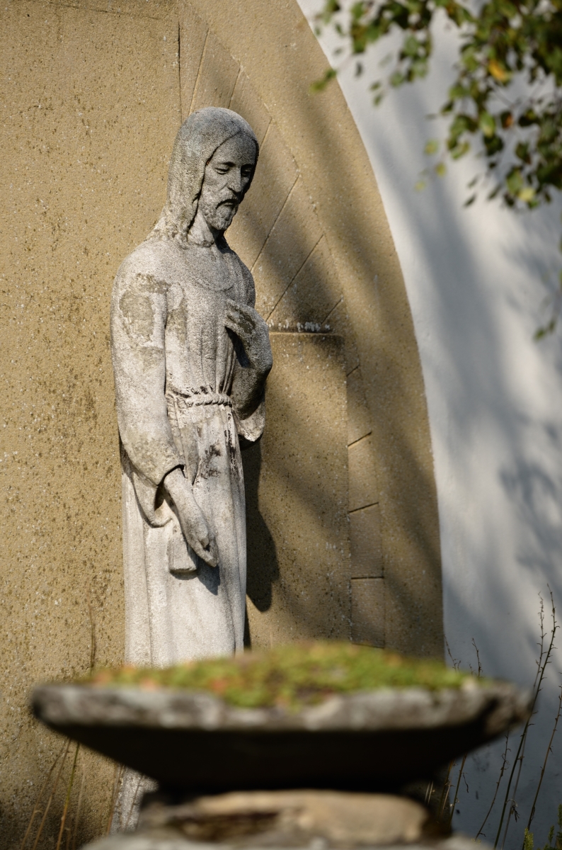 DSC_2573_00001kn.jpg