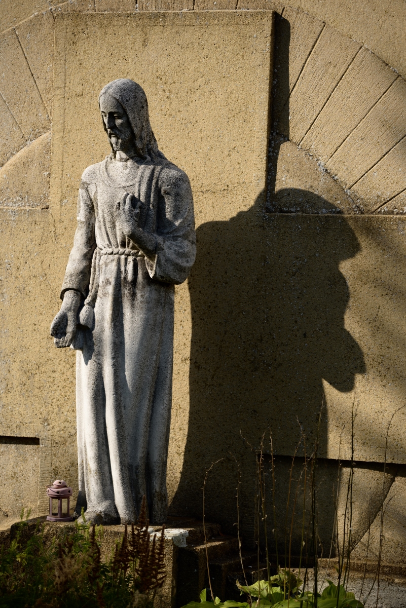 DSC_2575_00001n.jpg