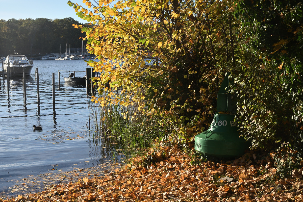 DSC_2582.JPG