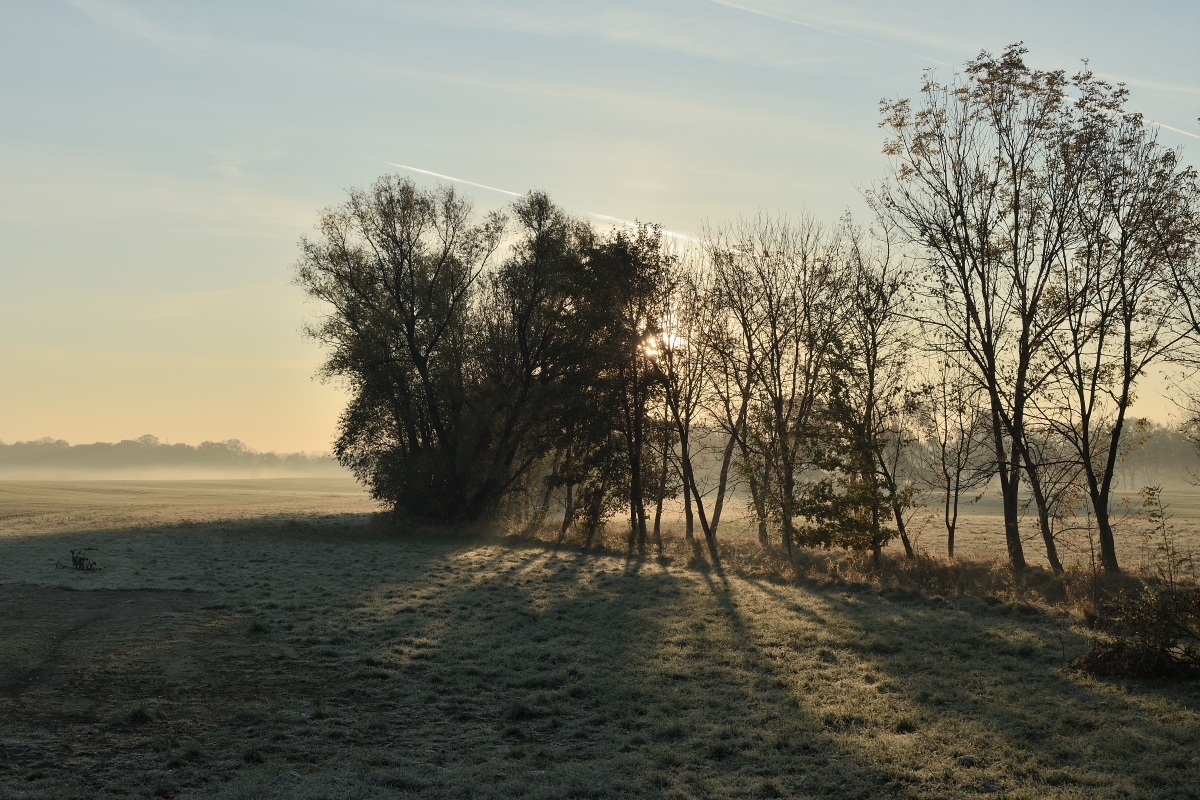 DSC_2582_00001n.jpg