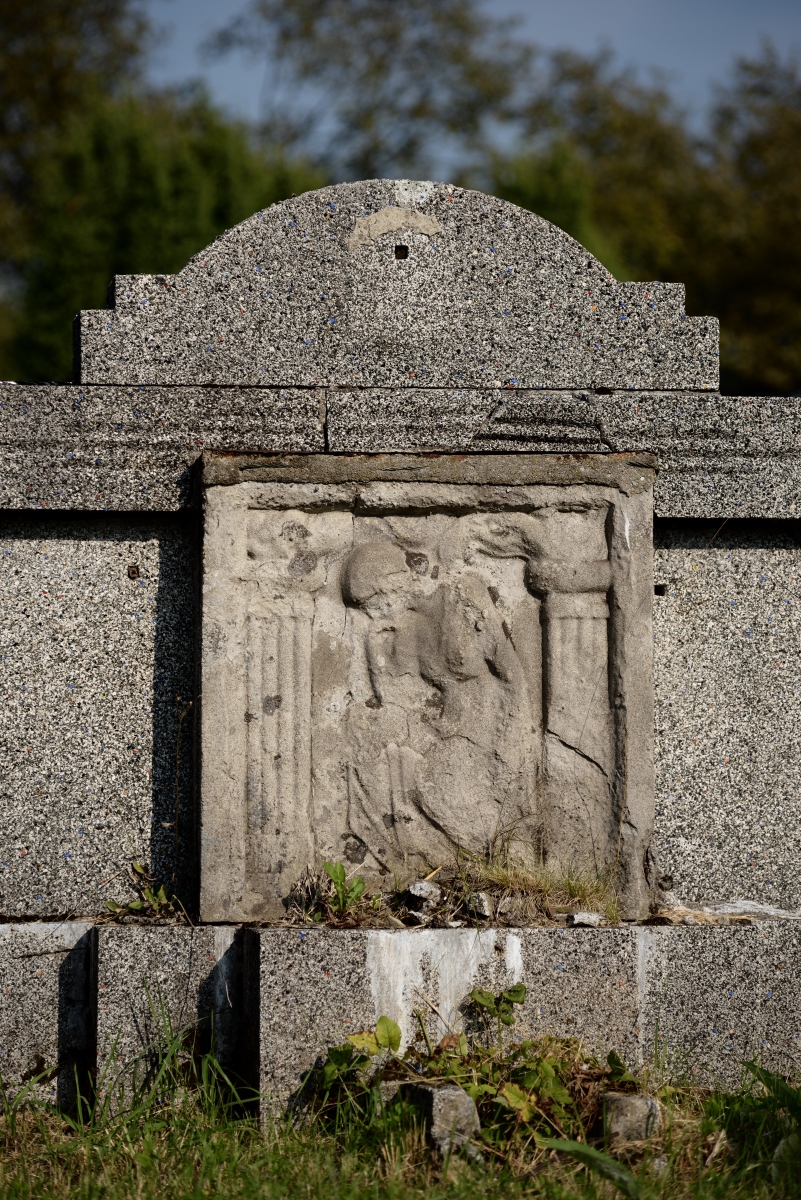 DSC_2584_00001n.jpg