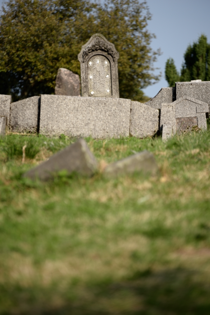 DSC_2595_00001n.jpg
