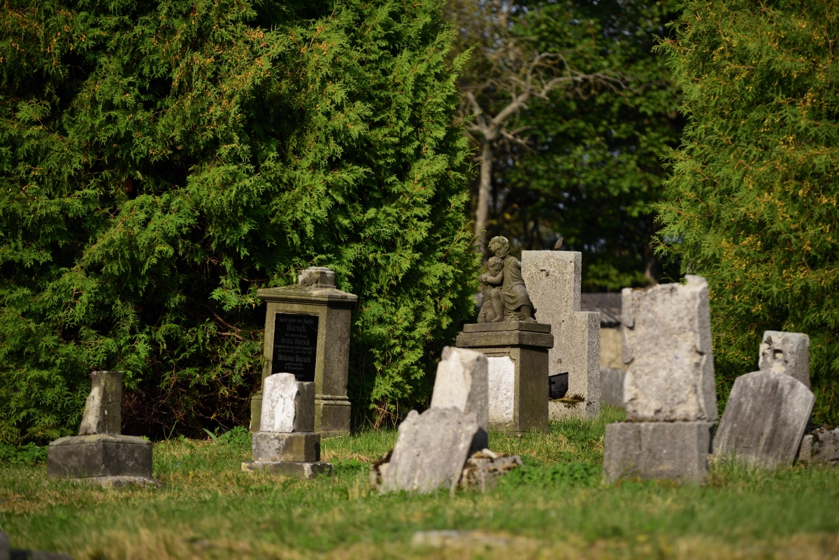 DSC_2596_00001n.jpg