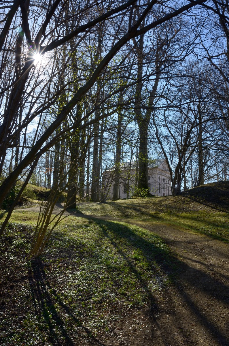 DSC_2605_00001n1.jpg