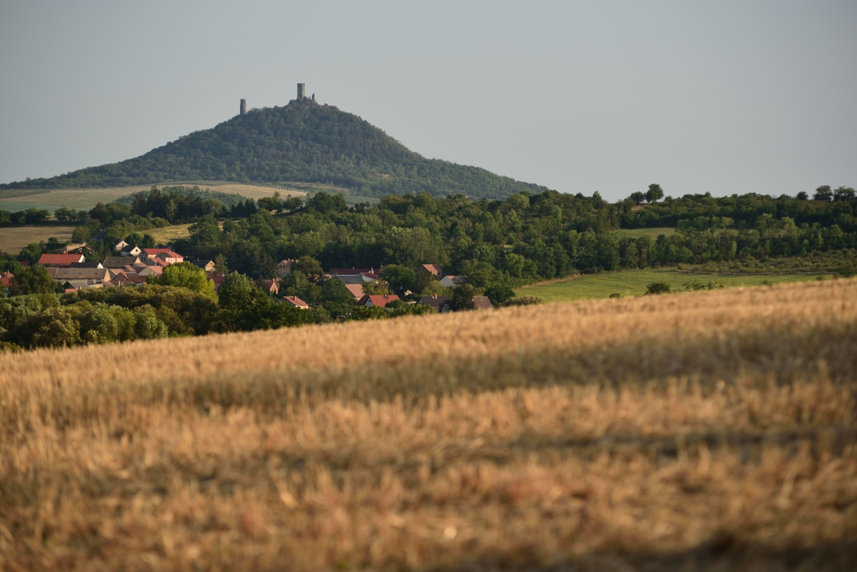 DSC_2608_00001n.jpg