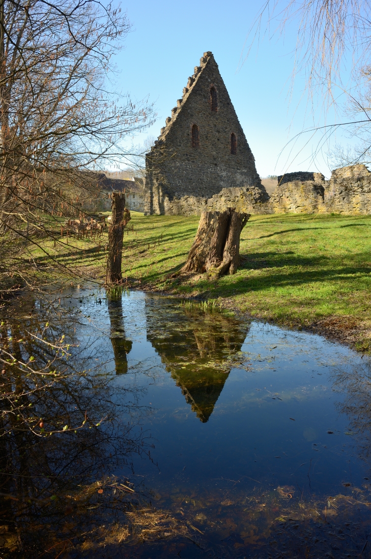 DSC_2612_00001n.jpg