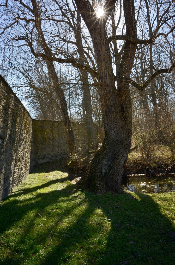 DSC_2620_00001n.jpg