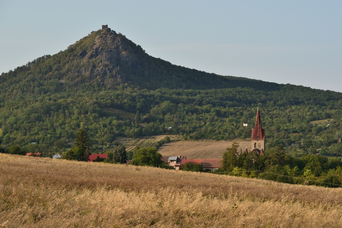 DSC_2620_00001n.jpg