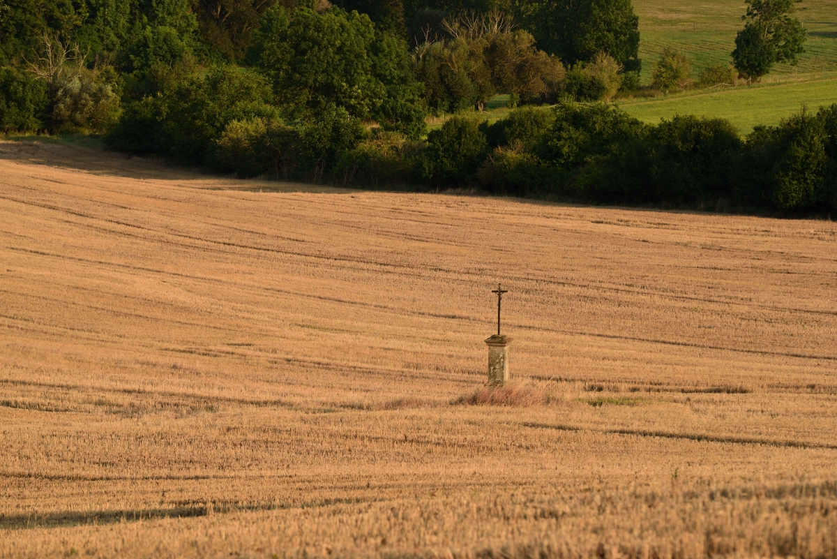 DSC_2633_00001n.jpg