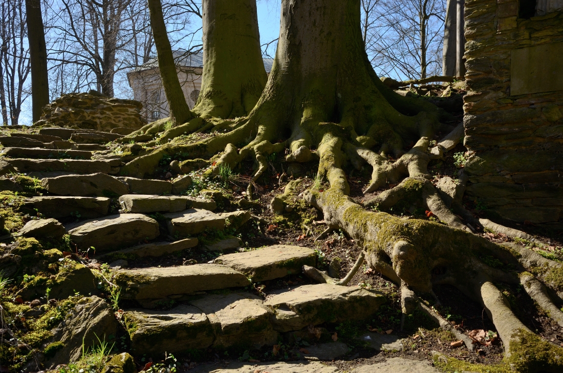 DSC_2642_00001n.jpg