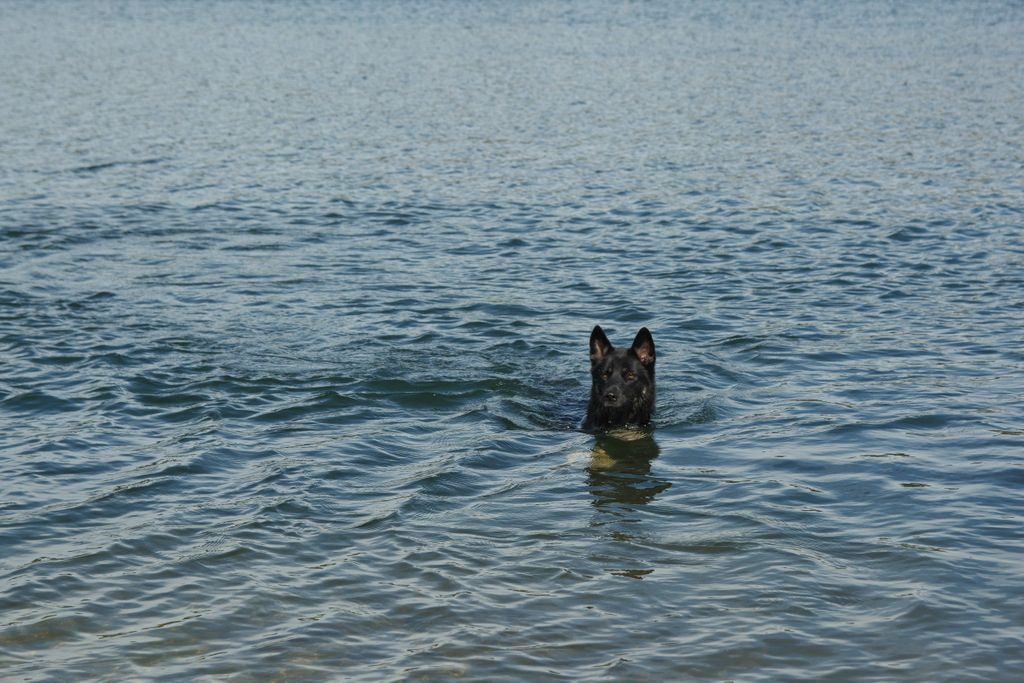 DSC_2645.jpg