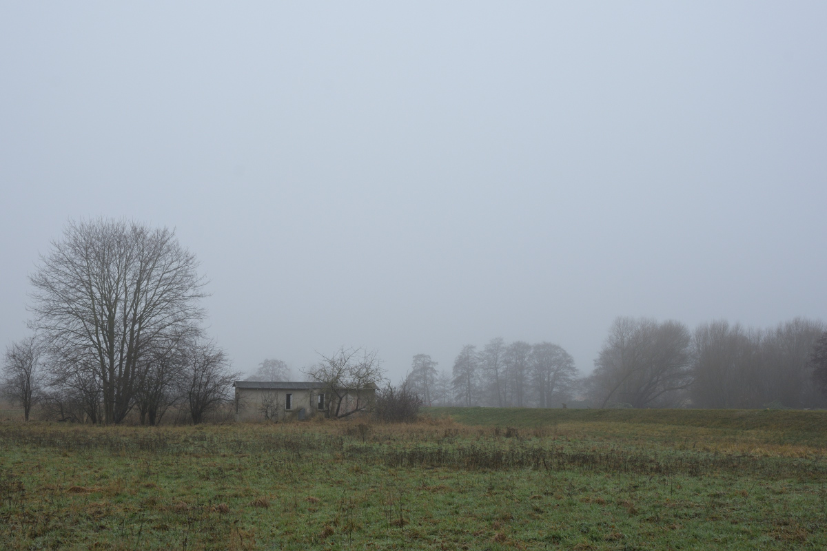 DSC_2645.JPG