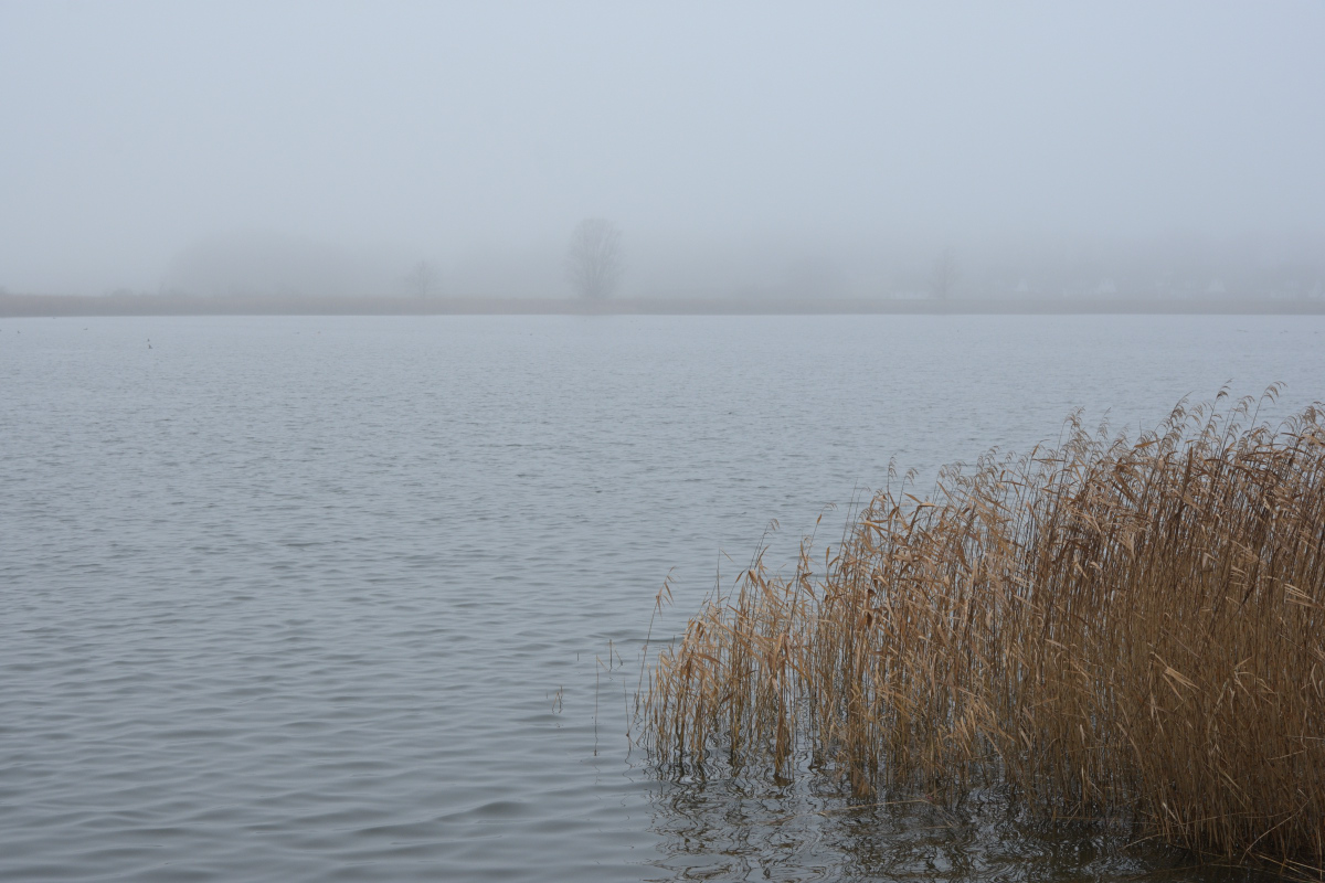 DSC_2648.JPG