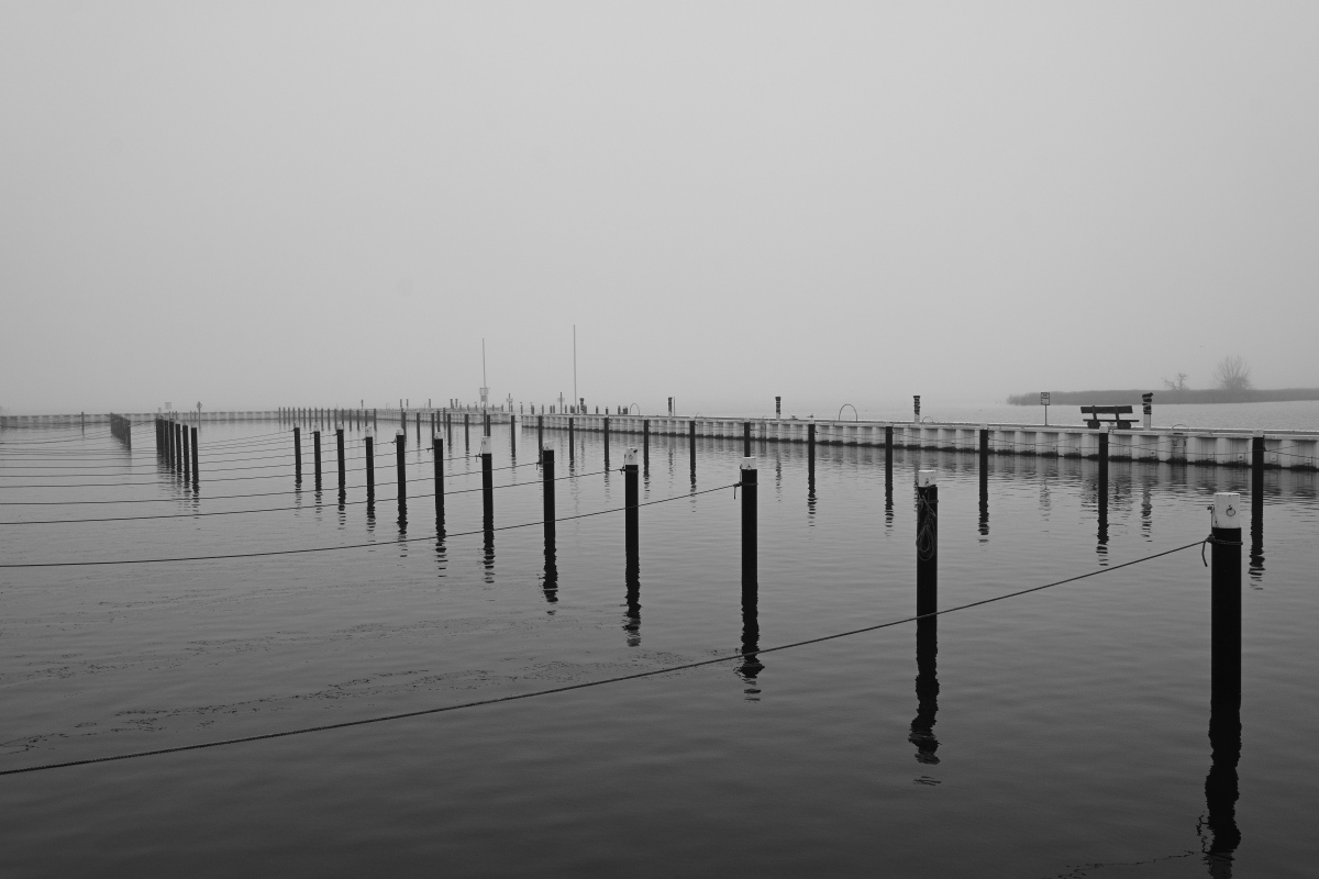 DSC_2651.JPG
