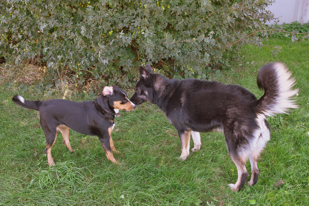 DSC_2666.jpg