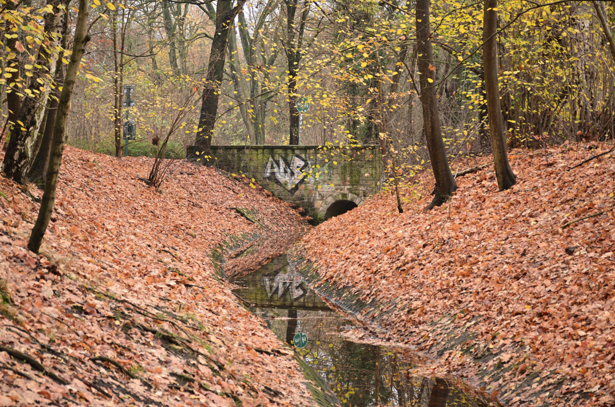 DSC_2667.JPG