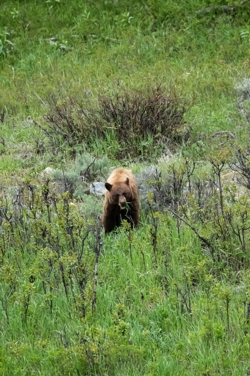 DSC_2672.jpg